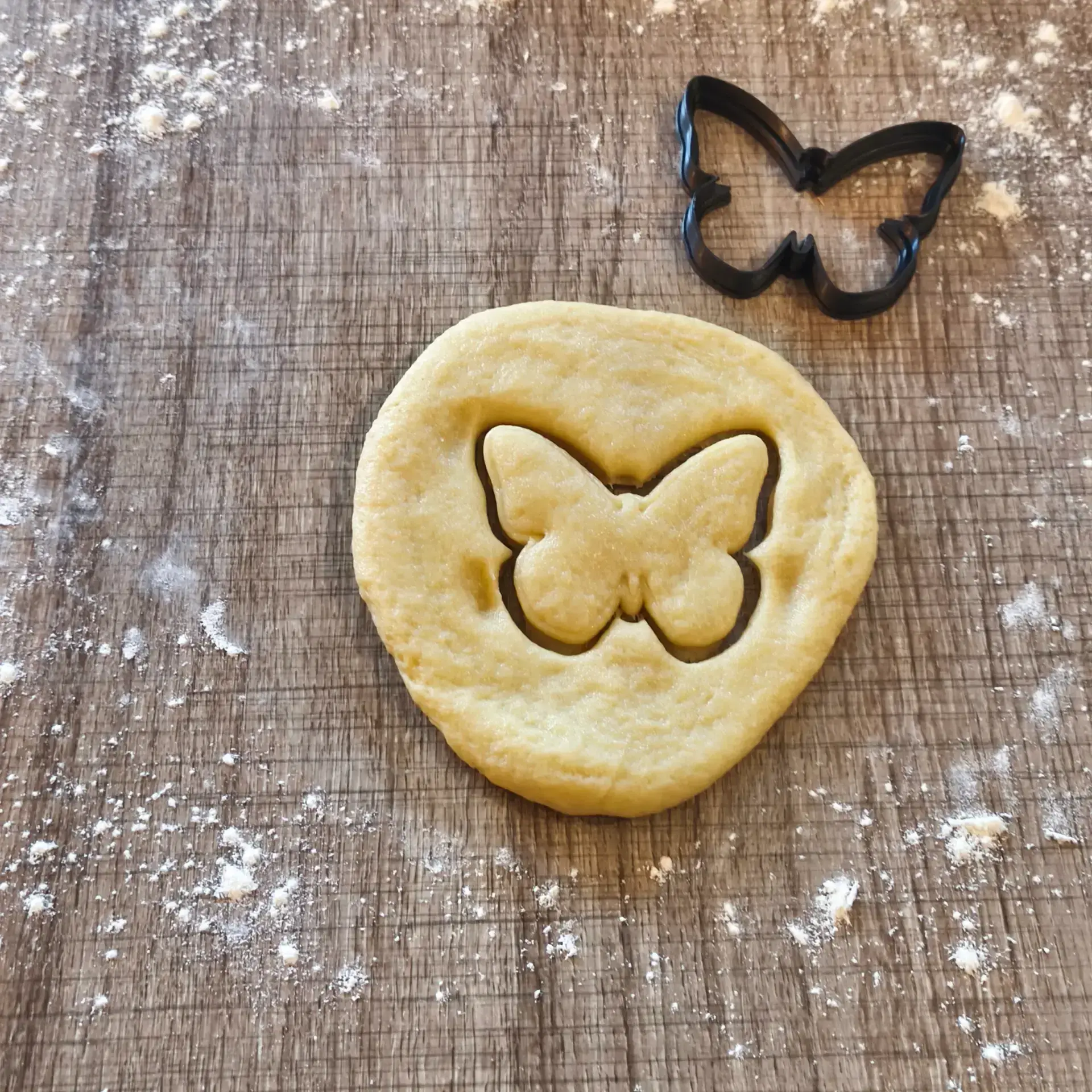 Schmetterling Ausstecher